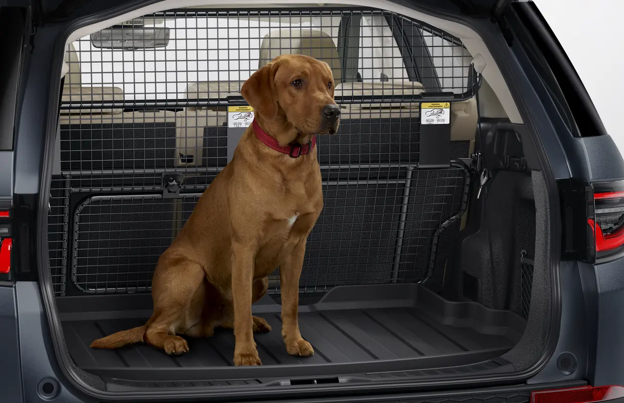 A Labrador sitting in a Discovery Sport boot fitted with a genuine dog guard and rubber loadspace liner